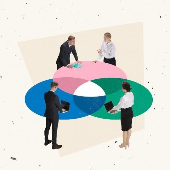 Apport capital social